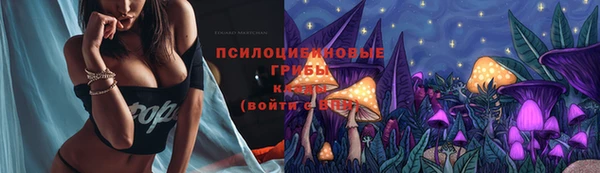 стаф Алексеевка