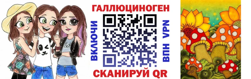 Псилоцибиновые грибы Psilocybine cubensis  Лукоянов 